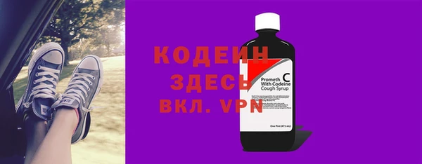 спиды Бородино