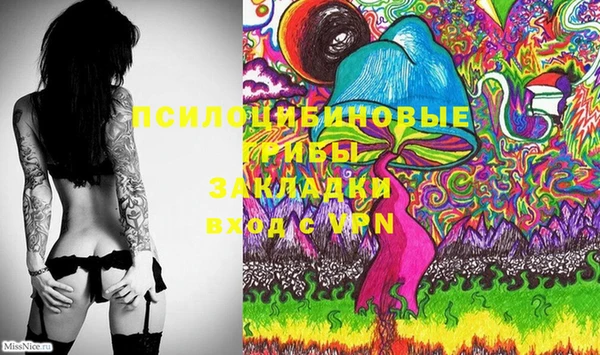 спиды Бородино