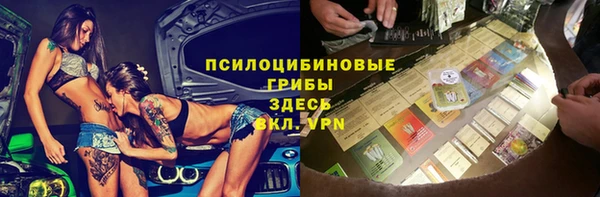 спиды Бородино