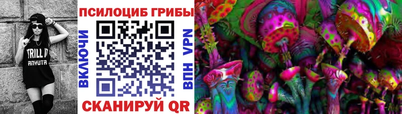 Псилоцибиновые грибы GOLDEN TEACHER  где можно купить наркотик  Монино 